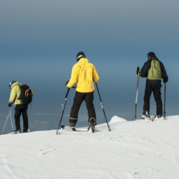 Skierowanie