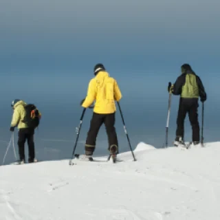 Skierowanie